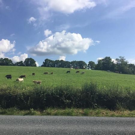 Hillview House Bed & Breakfast Cootehill Eksteriør bilde