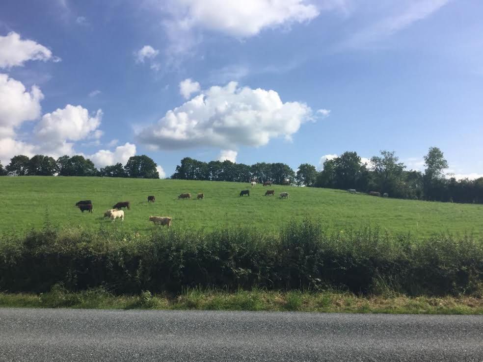 Hillview House Bed & Breakfast Cootehill Eksteriør bilde